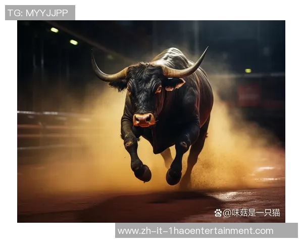 高冷的足球：探寻冷酷竞技背后的热血与激情